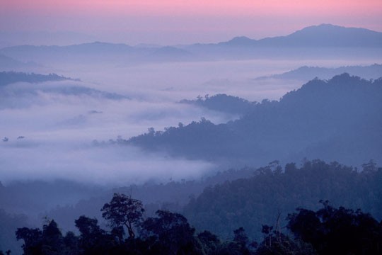 &copy;Edward Parker / WWF