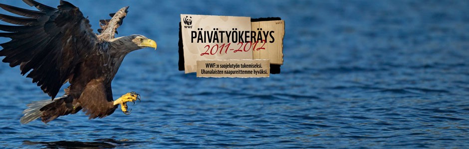 &copy;Markus Varesvuo