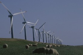 &copy;Hartmut Jungius/WWF-Canon