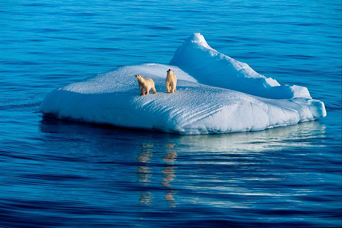 &copy;Paul Nicklen/National Geographic Stock / WWF-Canada