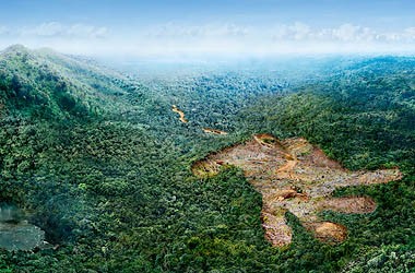 &copy;  WWF