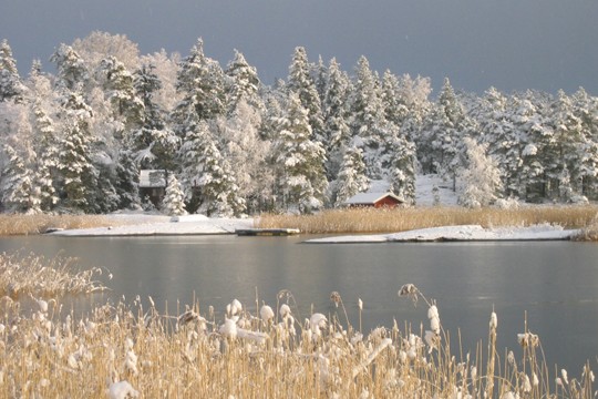 &copy;P&auml;ivi Rosqvist / WWF 