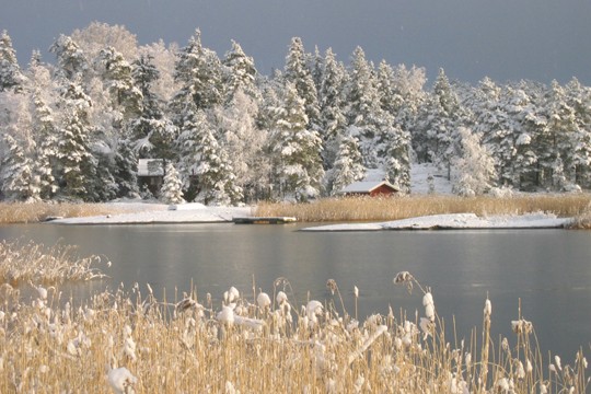 &copy;WWF / P&auml;ivi Rosqvist