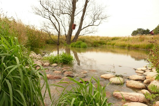 &copy;Sampsa Vilhunen / WWF