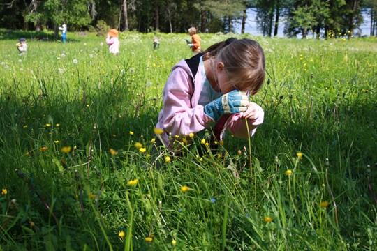 &copy;Essi Aarniolinnanvuori / WWF