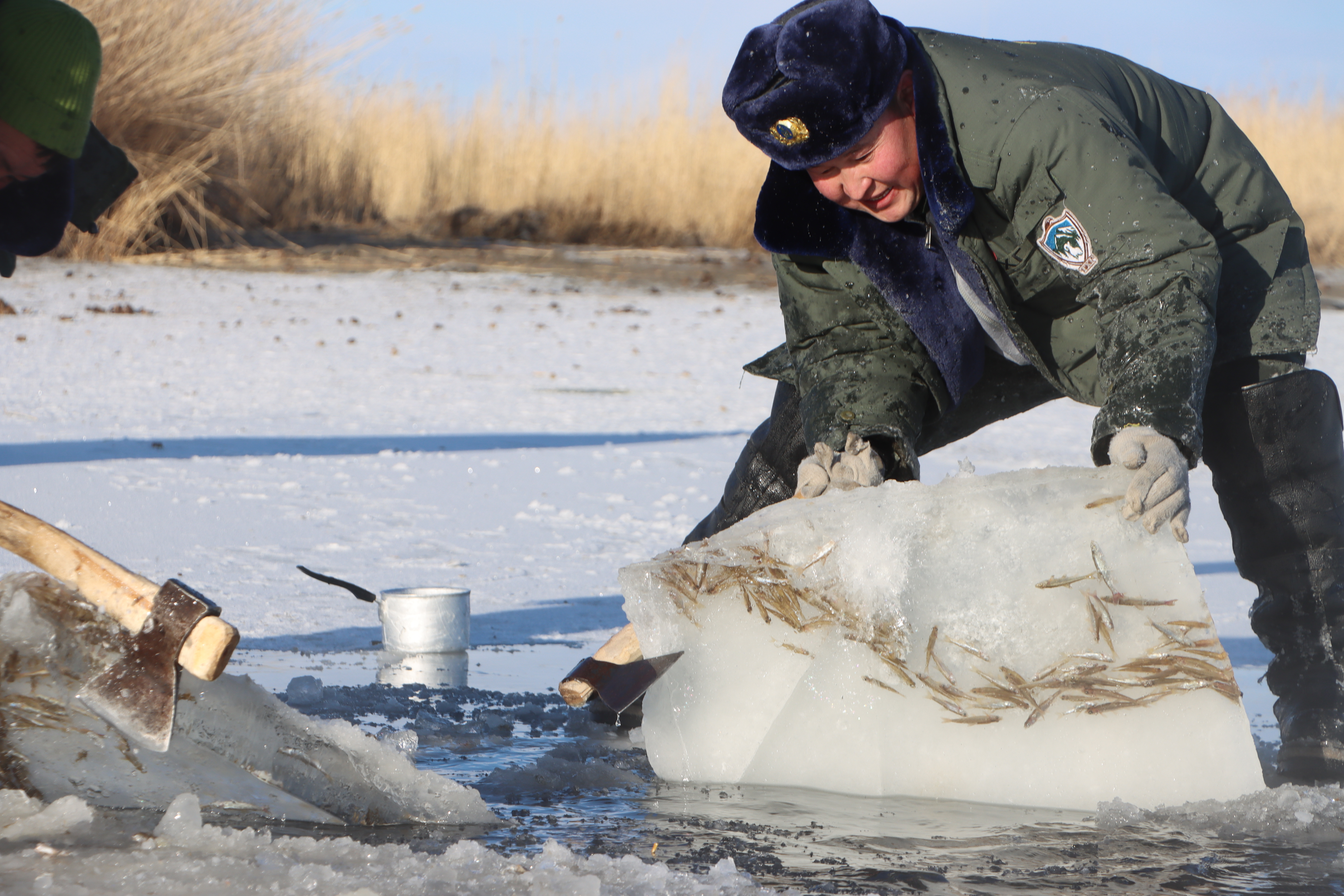 WWF Mongolian metsänvartija nostaa jäälohkaretta pois lampeen tehdystä avannosta.