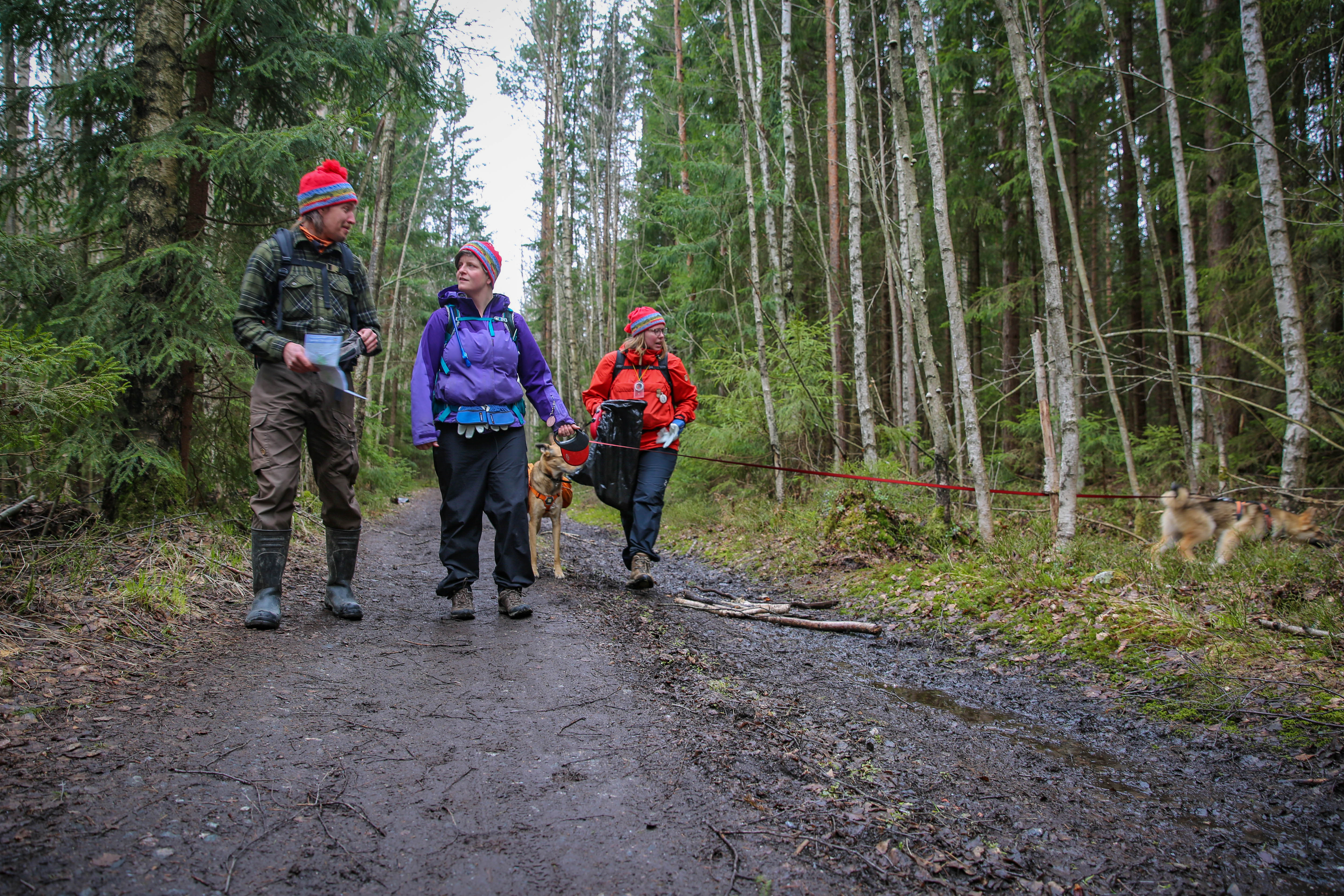 Sampo Rouhiainen, Rachael Spencer ja Pauliina Luoma-Nirva Sipoonkorven kansallispuistossa 8.5.2021