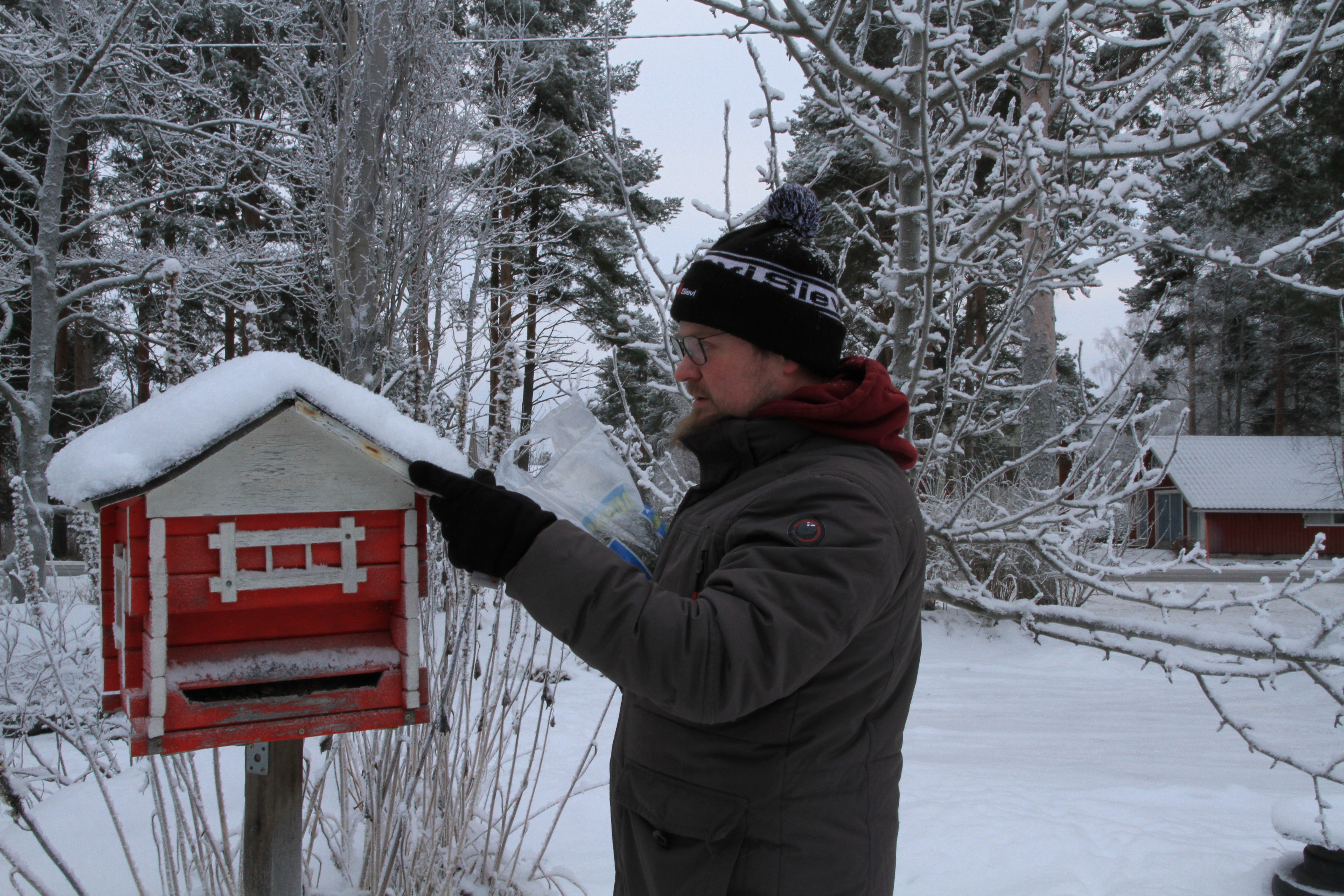 Markku Estola ruokkii kotipihallaan lintuja.