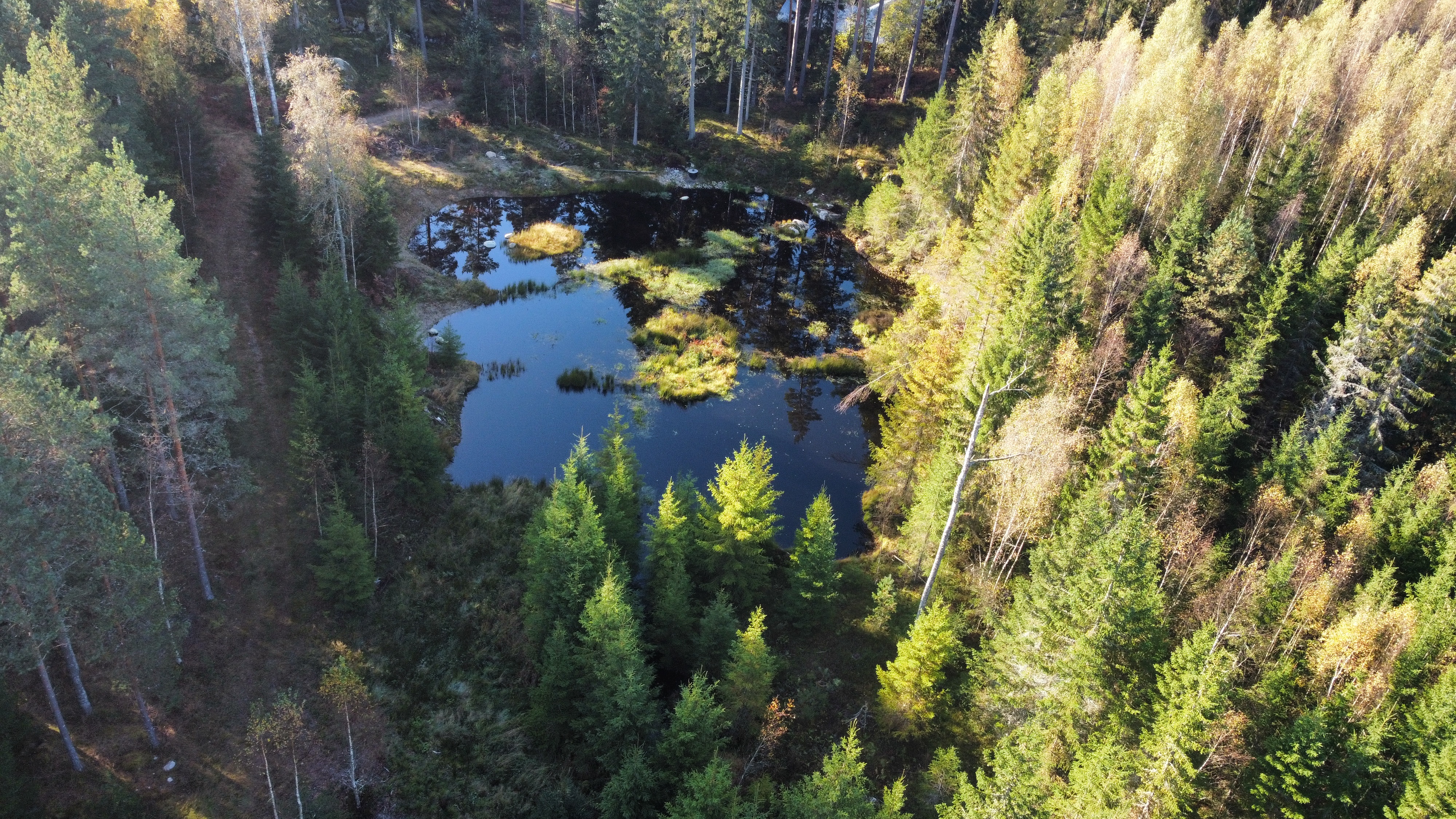 Ilmakuva metsän keskelle rakennetusta kosteikosta.