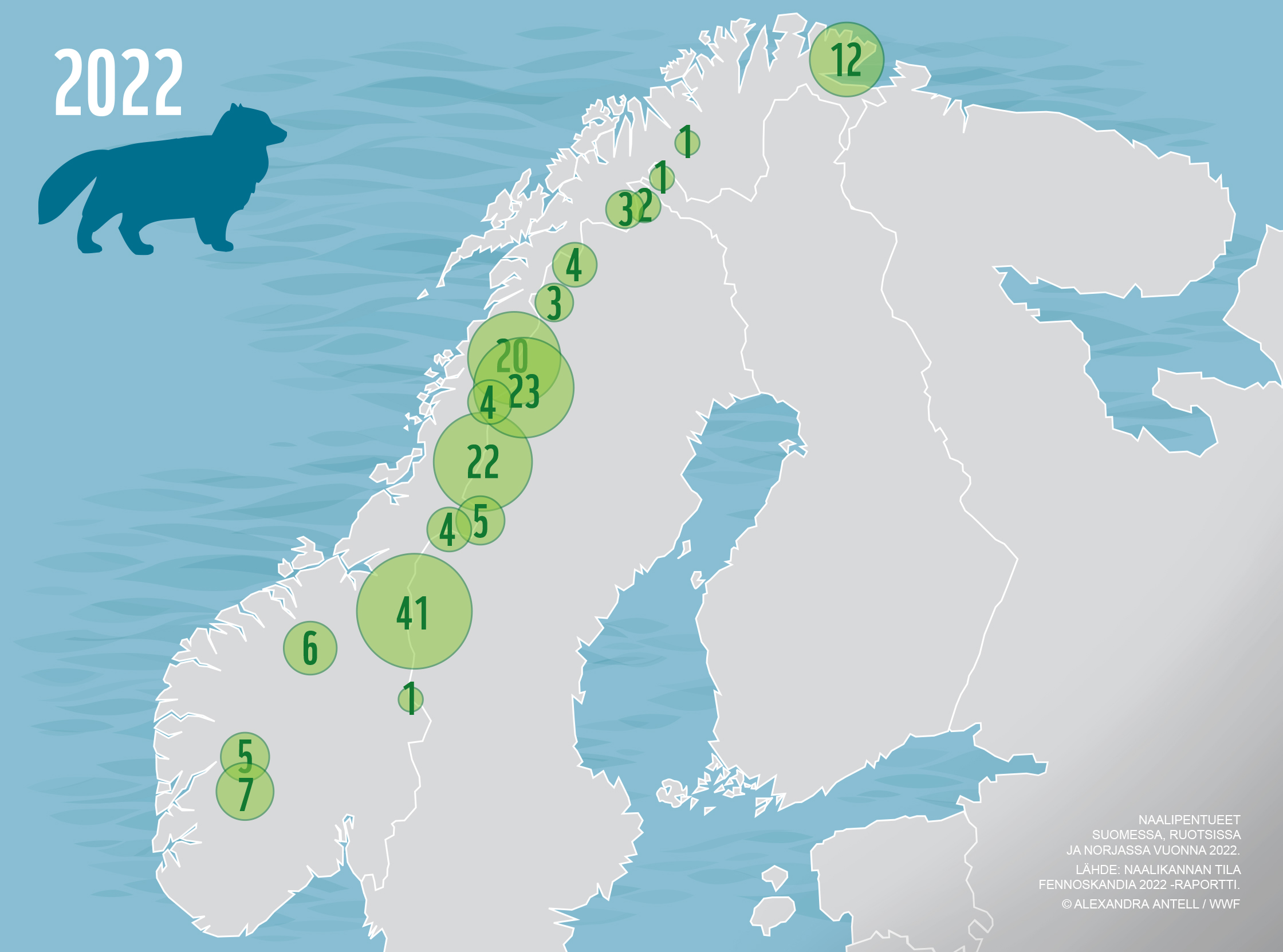 Ennätyksellinen naalivuosi: Suomessa, Ruotsissa ja Norjassa löydettiin  viime kesänä 762 naalinpentua – WWF Suomi