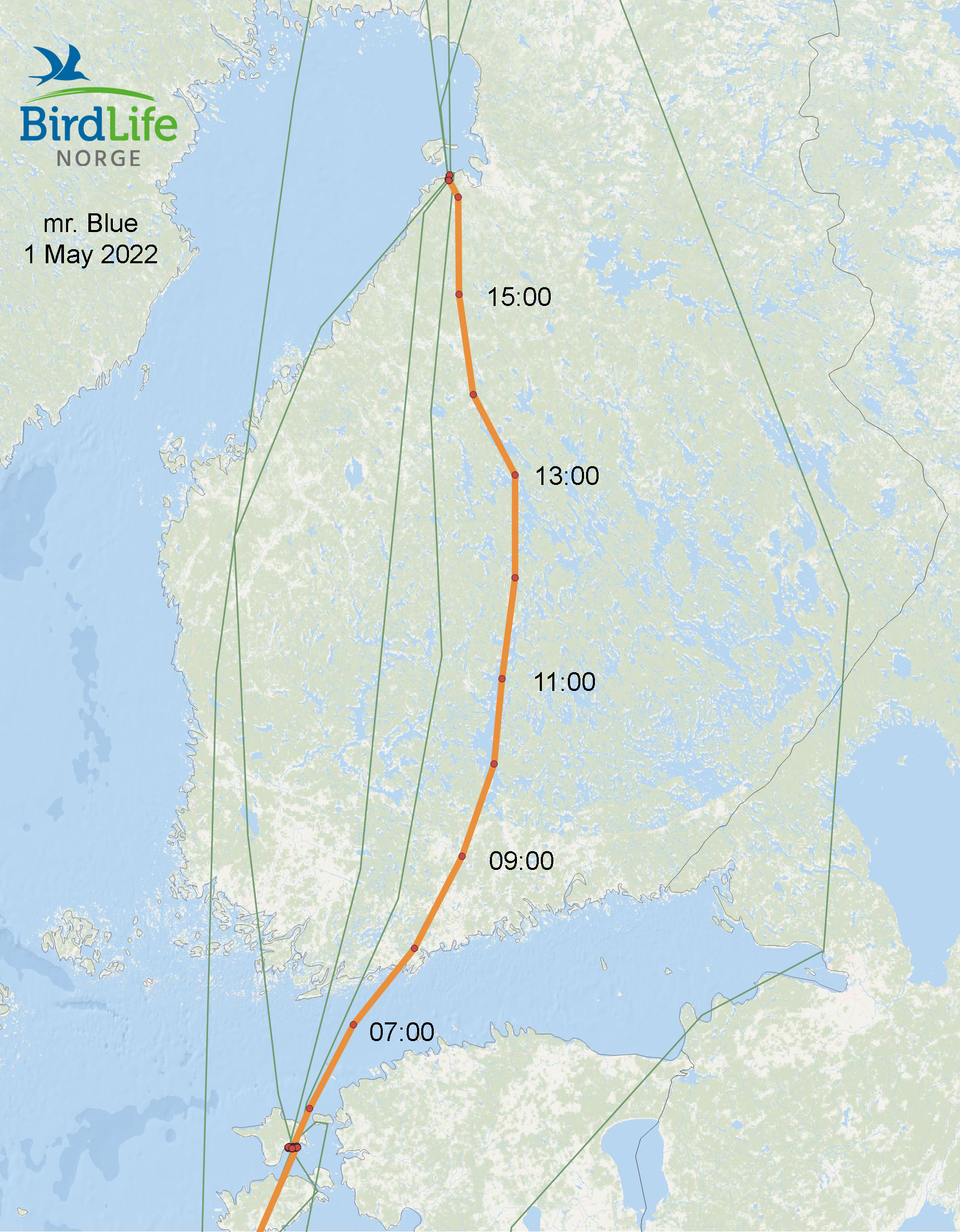 Mr. Bluen lähettimestä saadut tiedot kiljuhanhien kevätmuutosta Virosta Suomeen.