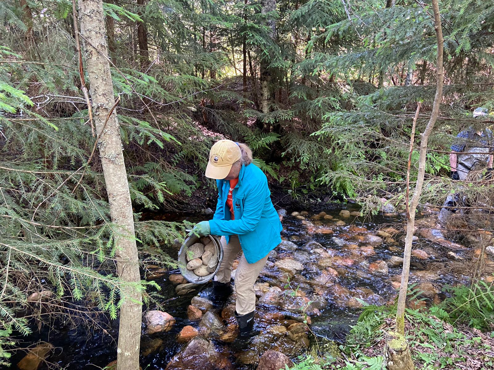 Nainen seisoo joessa ja kaataa ämpäristä isoja kiviä jokeen