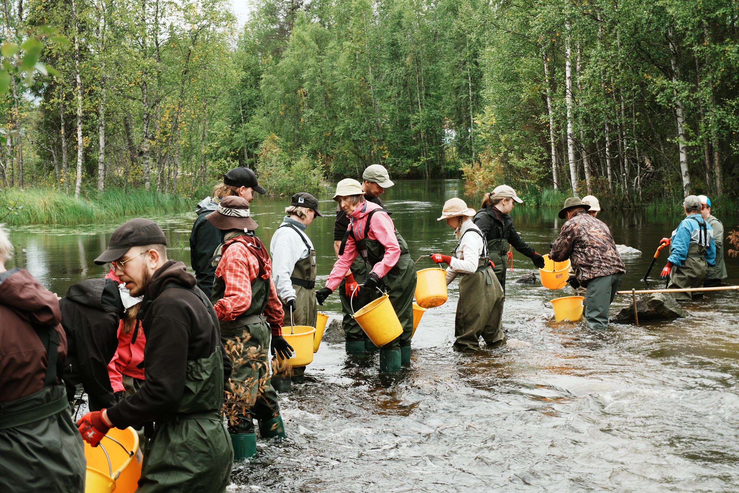 Talkoolaisia WWF:n talkooleirillä Piilojoella vuonna 2026.
