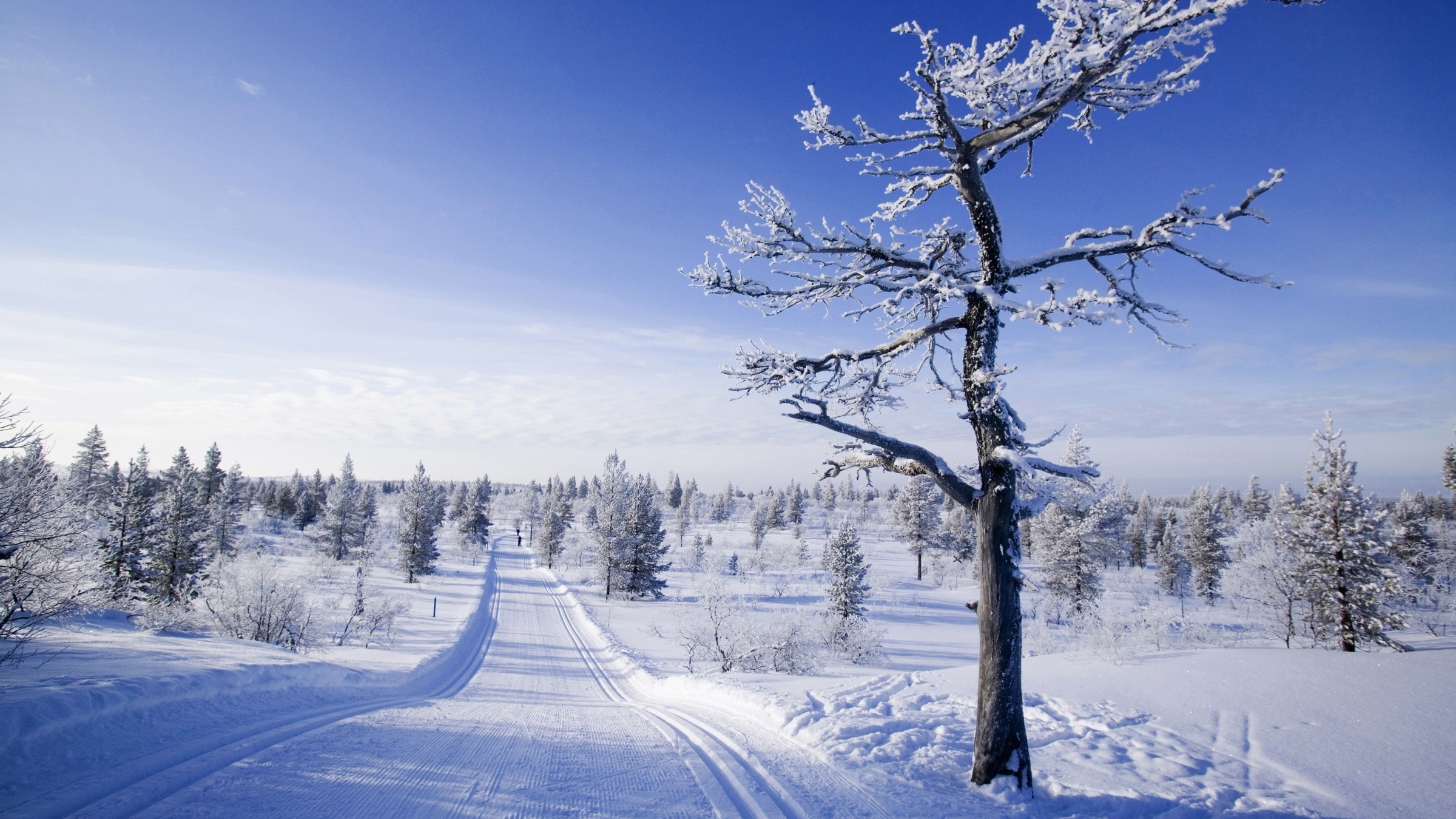 Tyhjä hiihtolatu lumisessa, aurinkoisessa maisemassa Urho Kekkosen kansallispuistossa.