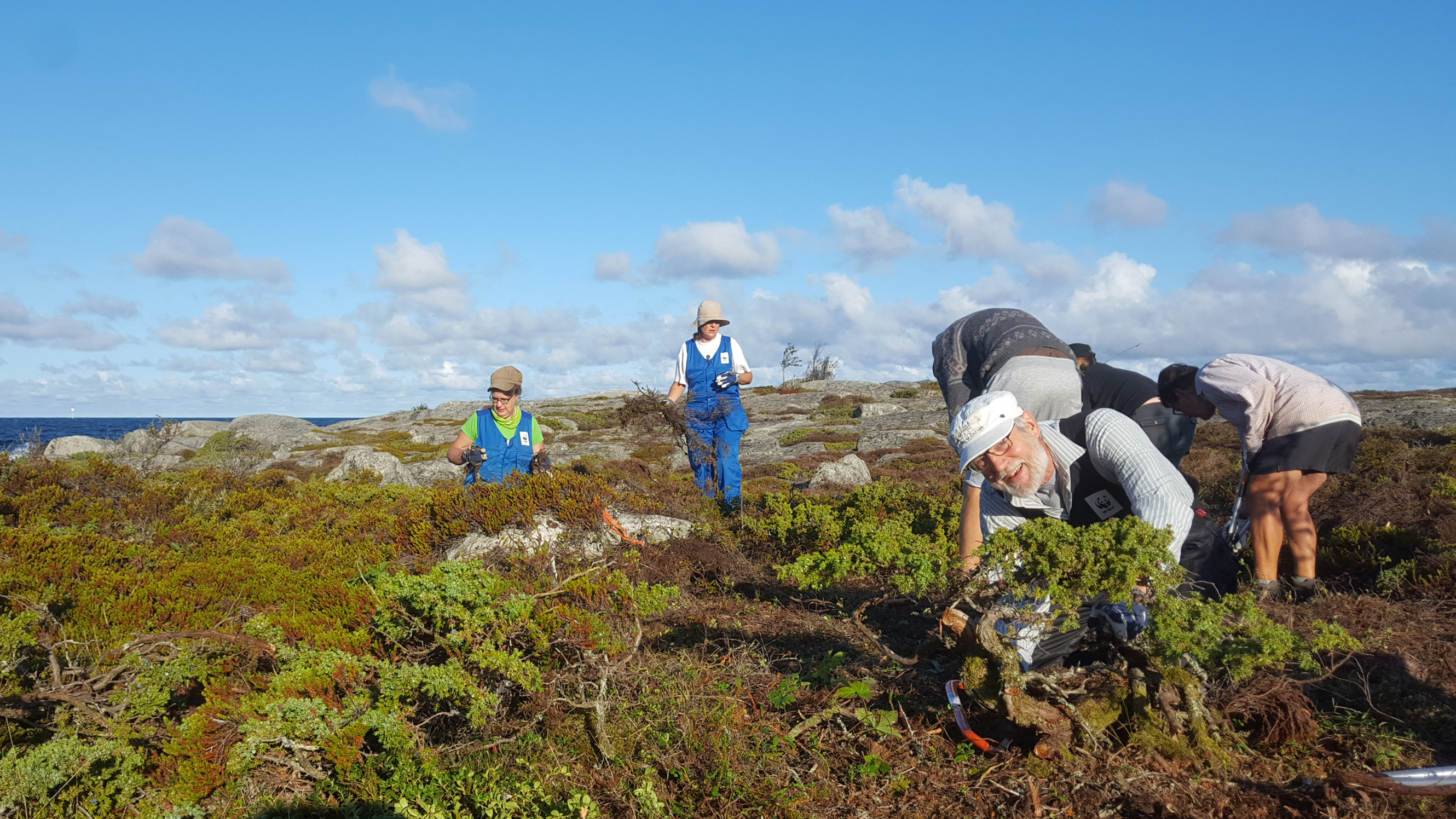 Tapahtumakalenteri – WWF Suomi