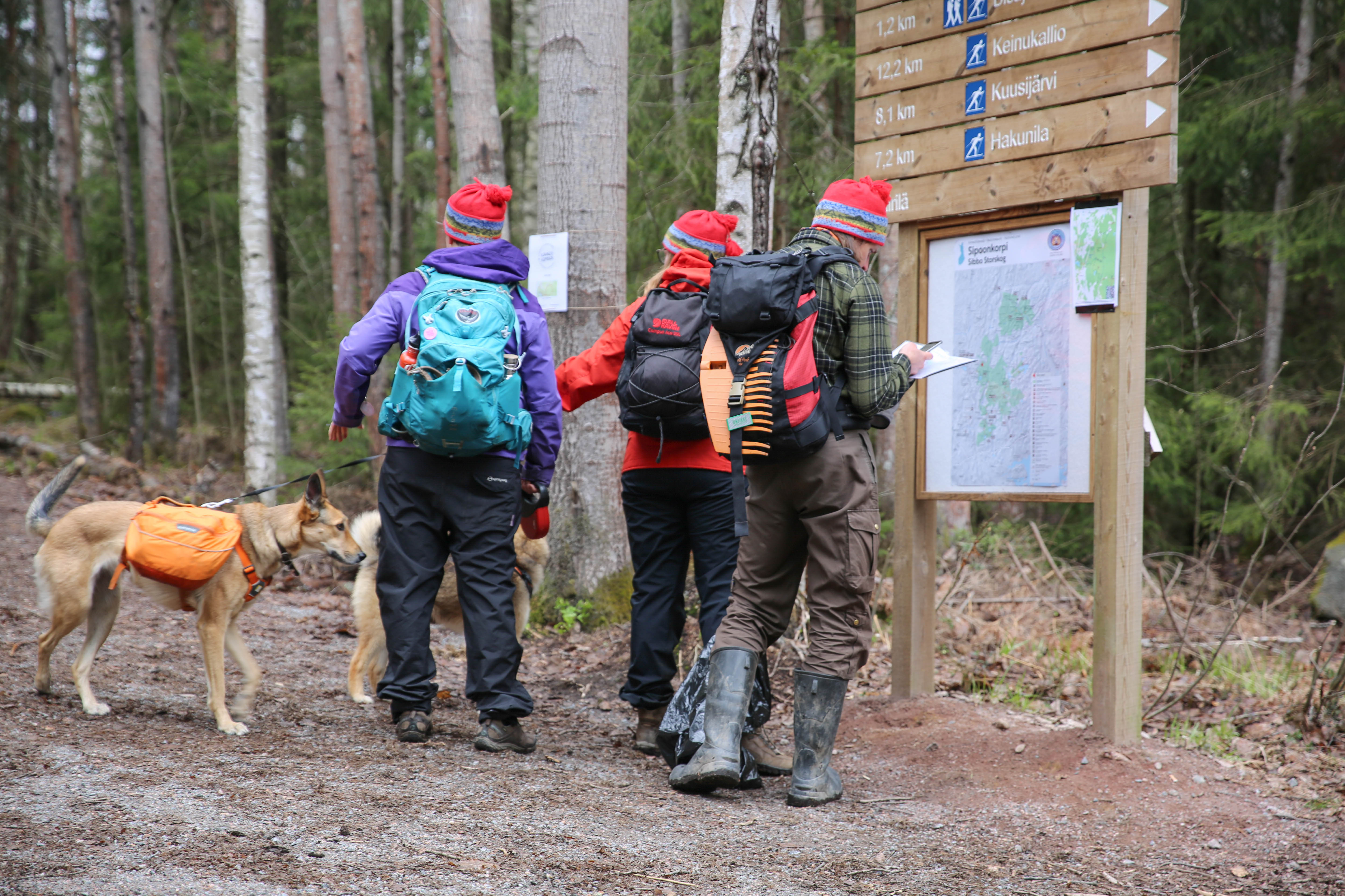 Retkeilijöitä Sipoonkorven kansallispuistossa