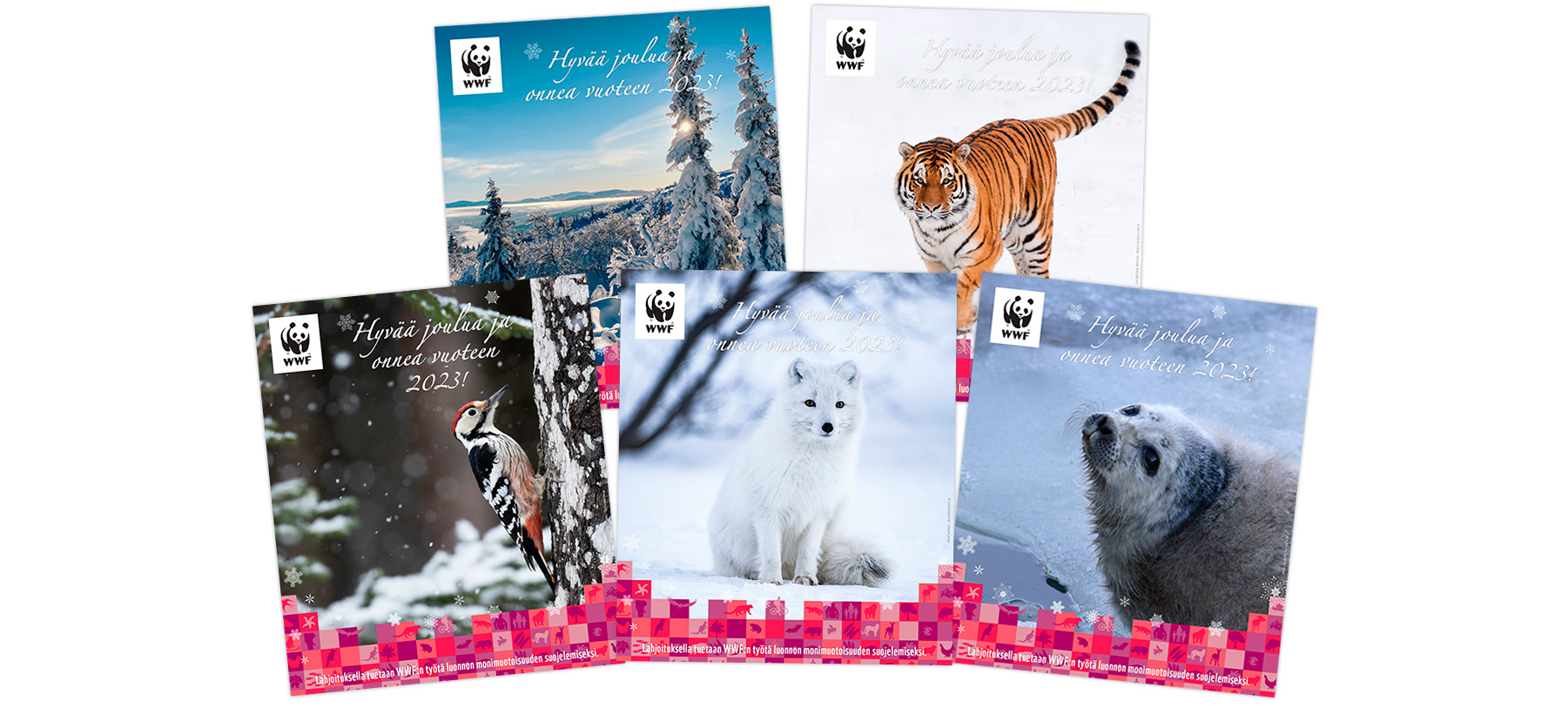 Auta luontoa joulutervehdyksellä – WWF Suomi