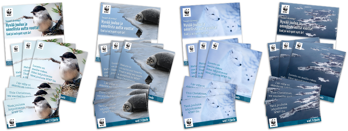 WWF joulukeräyksen viestintäpaketit yrityksille 2026