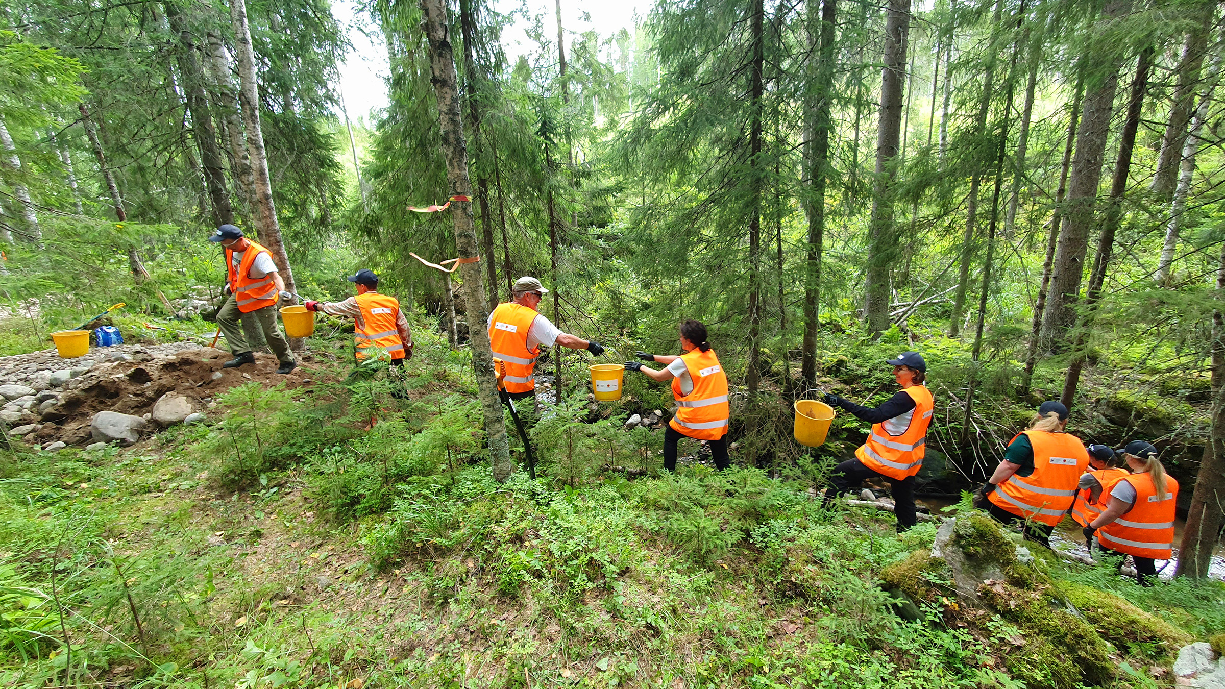 Metsäpurojen puolesta talkoot Peukalojoella