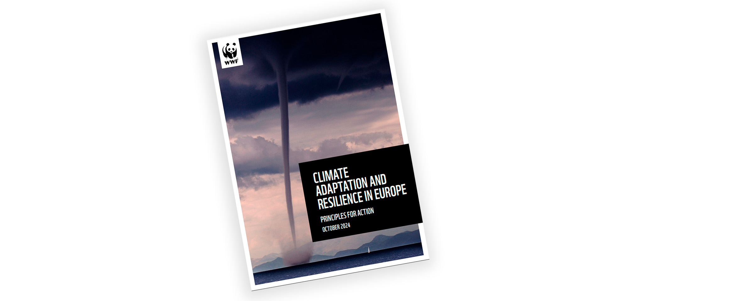 Climate adaptation and resilience - Principles for Action -raportin kansikuva