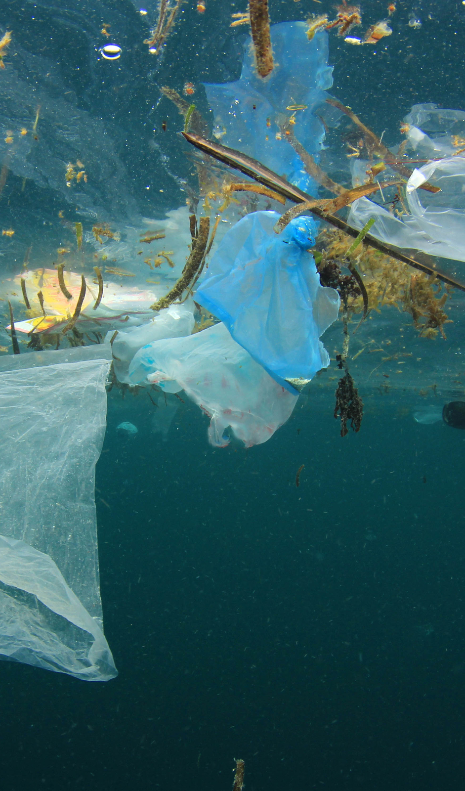 Merten Muoviroska Wwf